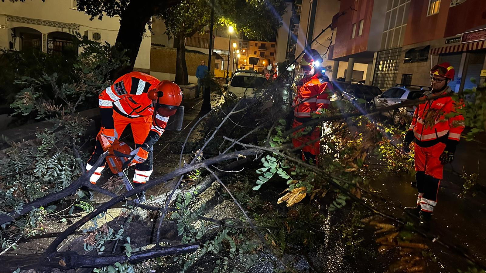 El fuerte viento provoca la cada de rboles en La Alhambra y Cuesta Gomerez, resultado heridas leves tres personas