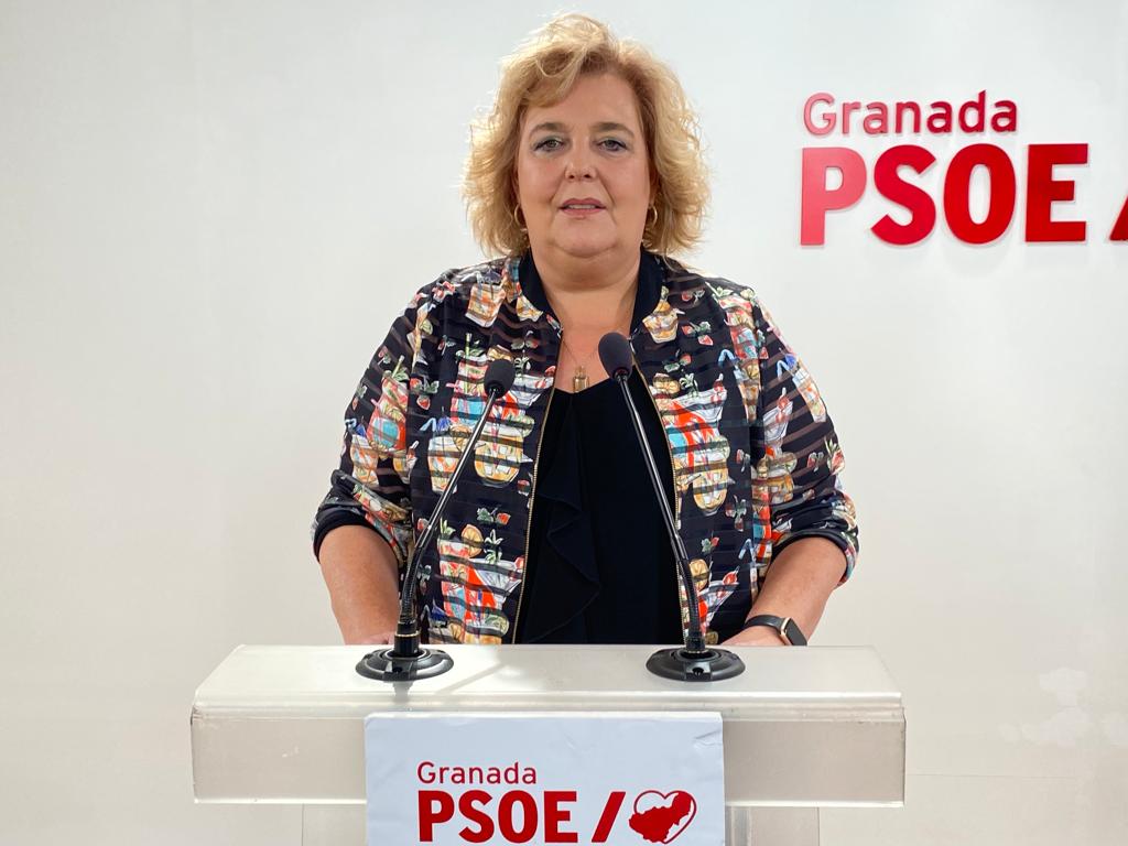 El PSOE pide a Francis Rodrguez reconsiderar el nombramiento del nuevo director del Patronato Garca Lorca
