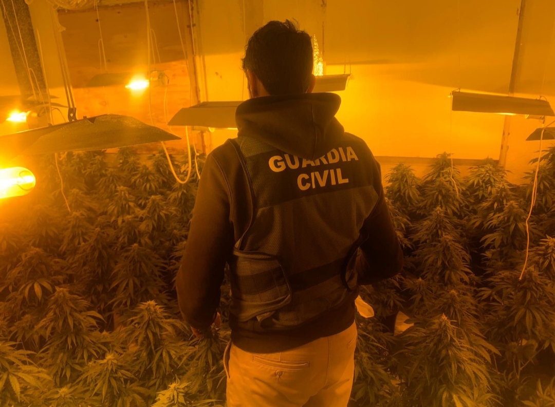 La Guardia Civil detiene a dos jvenes de una organizacin criminal en la desarticulacin de un importante centro de produccin de marihuana en Baza 