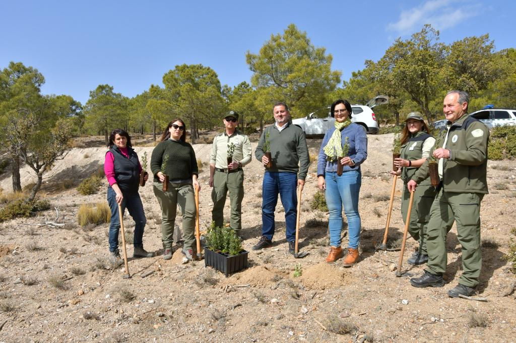 Plantacin de 500 rboles por el Da de Andaluca